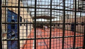 فلسطين: الإفراج عن أسير بعد 25 عاما في سجون الاحتلال.. واعتقال نحو 30 مواطنا في الضفة الغربية