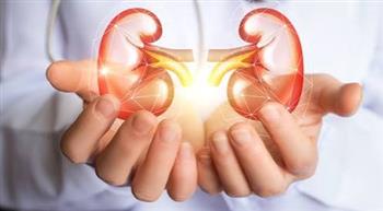 احذر.. عادات تضر الكلى