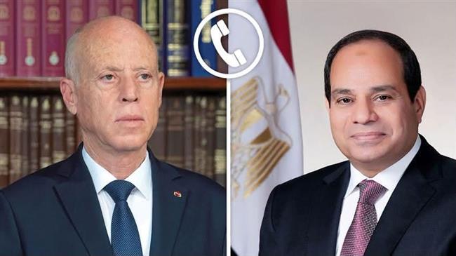 الرئيس السيسي يهنئ تونس بعيد الجمهورية ويؤكد تضامن مصر معها في مواجهة الحرائق