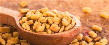 الحلبة لأمراض الصدر والجهاز الهضمي