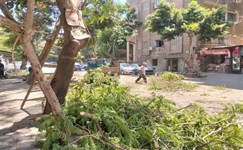استجابةً لشكاوى مواقع التواصل.. محافظة الجيزة تتعامل فورًا مع شجرة مائلة بالعجوزة وتزيل إشغالات في الهرم