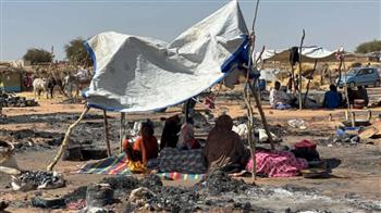 مقرر أممي: ما يحدث في السودان يمثل إبادة ممنهجة ويستوجب حماية المدنيين