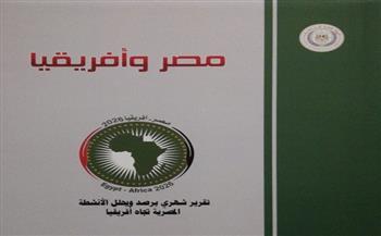 "الاستعلامات": 118 نشاطًا مصريًا تجاه إفريقيا خلال يونيو شملت 36 دولة و25 منظمة إقليمية ودولية   