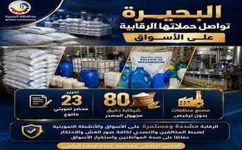 البحيرة: ضبط 80 شيكارة دقيق مجهول المصدر ومصنع منظفات بدون ترخيص وتحرير 23 محضر تمويني