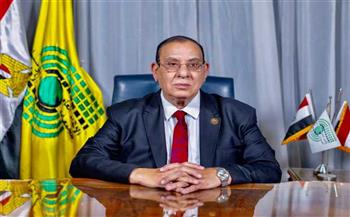 الدكتور طلعت عبد القوي: المجتمع المدني يقف صفًا واحدًا خلف الدولة المصرية