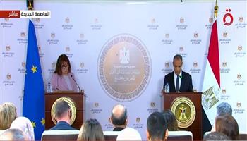 وزير الخارجية: اتصالات مصر مع الفصائل الفلسطينية مستمرة لضمان تنفيذ خطة ترامب للسلام