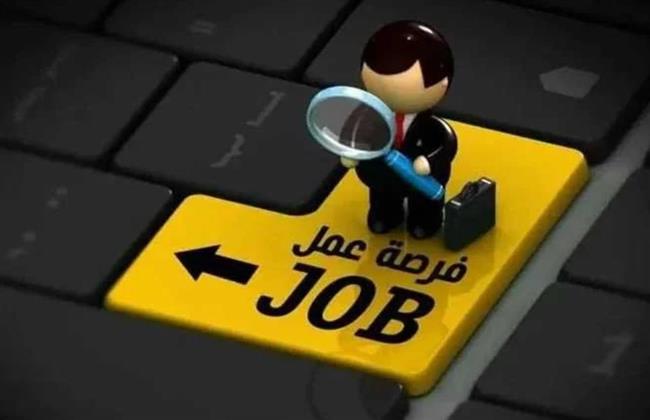موعد التقديم الإلكتروني على 21 وظيفة بالتنمية المحلية والبيئة