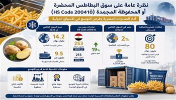  المجلس التصديري: 80 مليون دولار فرصًا جديدة لزيادة صادرات البطاطس المصرية في الأسواق العالمية