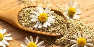 فوائد البابونج لصحة المرأة