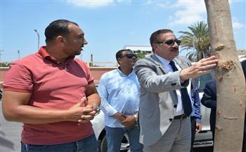 محافظ بورسعيد يتابع أعمال زراعة أشجار ونباتات البونسيانا بشارع محمد حسني مبارك بحي الزهور 