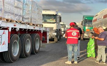 الهلال الأحمر المصري يدفع بأكثر من 92 ألف سلة غذائية وأطنان من المواد الطبية والإغاثية لقطاع غزة