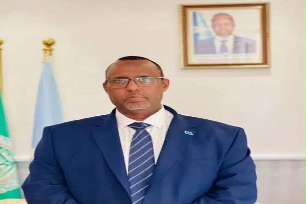 سفير الصومال بالقاهرة يشيد بإقرار مذكرة التفاهم مع مصر في مجال النقل البحري والموانئ 