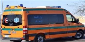 كواليس مصرع 3 أشخاص وإصابة 7 آخرين في انقلاب ميكروباص بطريق القاهرة - الفيوم الصحراوي