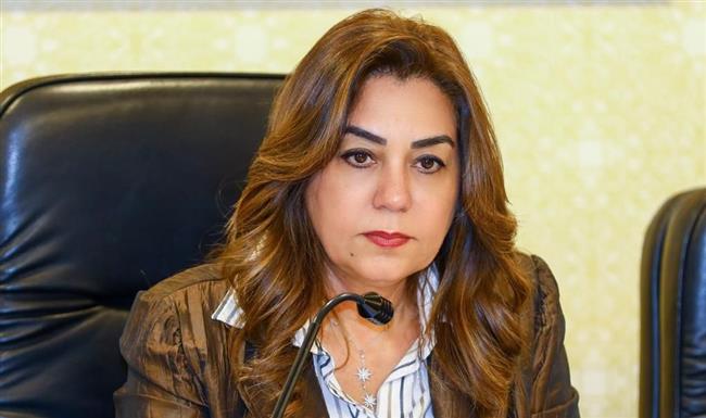 وزيرة التنمية المحلية والبيئة تتابع نتائج التفتيش الميداني بأحياء بورسعيد    