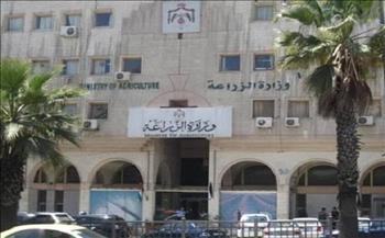 العراق يطلق 155 مليون سمكة لدعم الأمن الغذائي 
