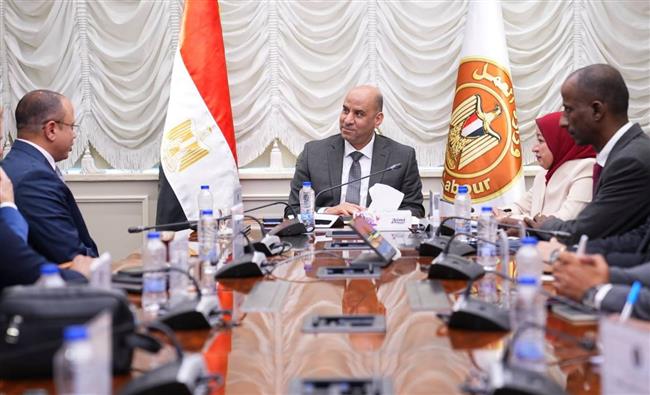 وزير العمل ومستشفى"السعودي الألماني"بالقاهرة يتفقان على التوسع في"التدريب من أجل التشغيل"بالمهن الطبية