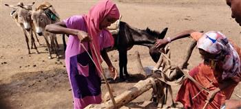 الأمم المتحدة: استمرار القتال بالسودان يفاقم الاحتياجات الإنسانية