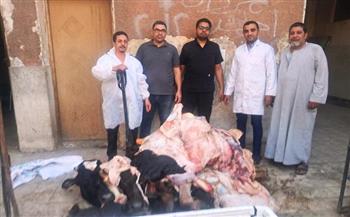 ضبط أكثر من طن لحوم وأحشاء غير صالحة للاستهلاك الآدمي بسوق الهجارسة في سوهاج