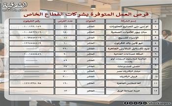 محافظ الشرقية يعلن توفير أكثر من 4900 فرصة عمل بالقطاع الخاص
