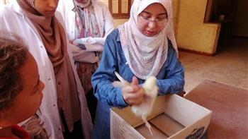 قافله بيطرية مجانية بجامعة سوهاج تعالج نحو 200 حالة بقرية الأحايوة شرق