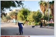 مواصلة أعمال النظافة ورفع المخلفات وتحسين مستوى الإنارة بنصر النوبة