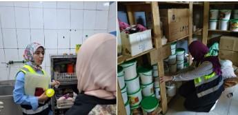هيئة سلامة الغذاء بمحافظة الإسماعيلية تضبط ٣٨٤ كيلو جرام من المواد الغذائية والدواجن الفاسدة 