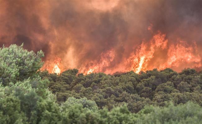 اليونان: اندلاع حرائق غابات جديدة في أركاديا ونافباكتوس وسط تحذيرات من مخاطر شديدة