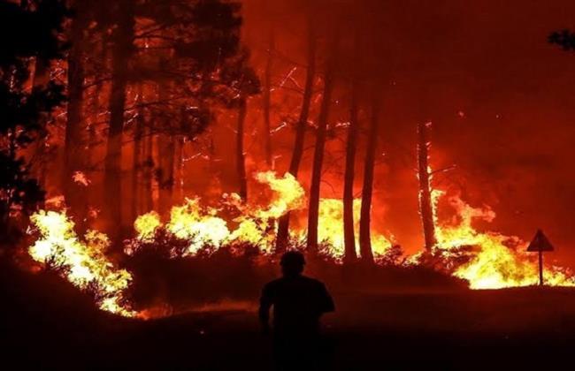 فرنسا تعتقل 474 شخصًا للاشتباه في التسبب بحرائق الغابات