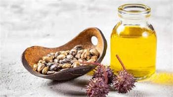 قبل استخدام زيت الخروع.. مكونات تساعد على ترطيب شعرك وتقليل جفافه 