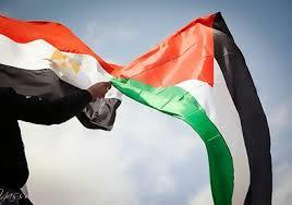 أستاذ علوم سياسية: مصر تعمل بحرص وإخلاص من أجل الحفاظ على مستقبل الشعب الفلسطيني