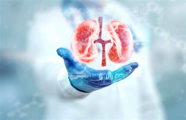 أسباب حصوات  الكلى في الصيف وطرق الوقاية