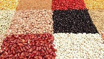 تباين أسعار البقوليات اليوم الثلاثاء 18 أغسطس 2026.. تراجع الأرز والفول  