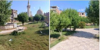  محافظة كفرالشيخ تواصل أعمال التطوير والتجميل الحضاري ضمن مبادرة «جميلة يا بلدي»
