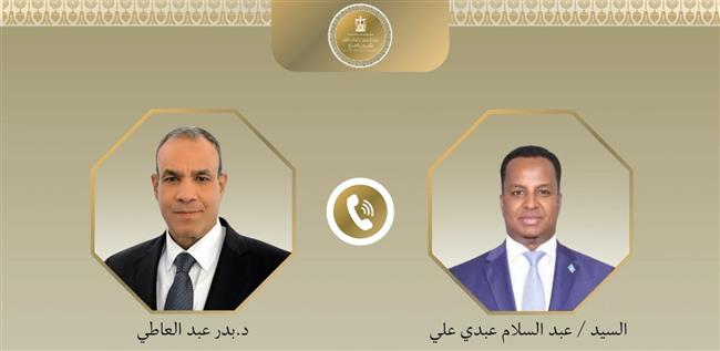 وزير الخارجية ونظيره الصومالي يبحثان تطورات الأوضاع بالصومال وتعزيز الشراكة الاستراتيجية 