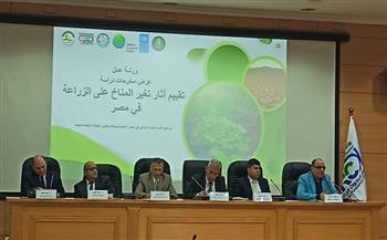 "الزراعة" تنظم ورشة عمل لمناقشة مخرجات دراسة «تقييم آثار تغير المناخ على قطاع الزراعة في مصر»