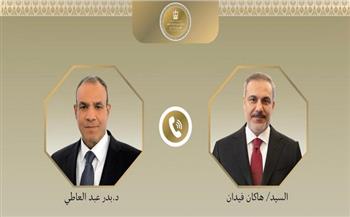 مصر وتركيا تبحثان خفض التصعيد بالمنطقة وتطورات غزة والضفة الغربية 