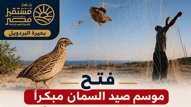 الثلاثاء المقبل..بدء موسم صيد السمان ببحيرة البردويل بشمال سيناء