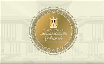 الخارجية في أسبوع.. لقاءات واتصالات مكثفة للوزير عبدالعاطي لبحث التطورات بالمنطقة