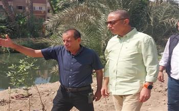 محافظ الجيزة: زراعة 3350 شجرة بأبو النمرس ضمن مبادرة «ازرع شجرة»