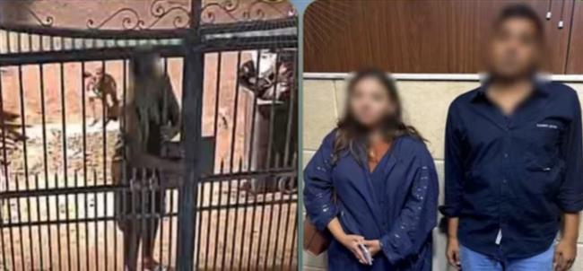 ادعت أنه ضابط شرطة.. كشف حقيقة فيديو خلاف بين جارين بسبب تقليم أشجار بالمقطم