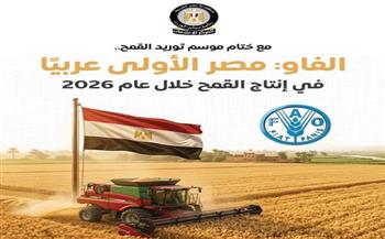 مجلس الوزراء: مصر الأولى عربيًا في إنتاج القمح خلال عام 2026 وفقًا لتقديرات "الفاو"