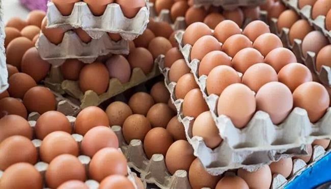 أسعار البيض اليوم الأربعاء 26 أغسطس 2026 في البورصة.. الكرتونة بـ 85 جنيها