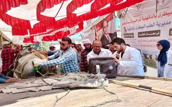 محافظ الدقهلية: تقديم خدمات علاجية وتوعوية لـ730 حيوانًا وفحص 5300 طائر