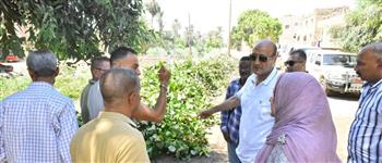 في جولة مفاجئة .. محافظ أسيوط يقرر إحالة رئيسي "الحواتكة" و"نجع سبع" للتحقيق بسبب تراكم المخلفات وتدني النظافة