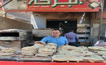 محافظ الجيزة: ضبط 3231 مخالفة تموينية والتحفظ على نحو 225 طنًا من السلع المدعمة والغذائية المخالفة