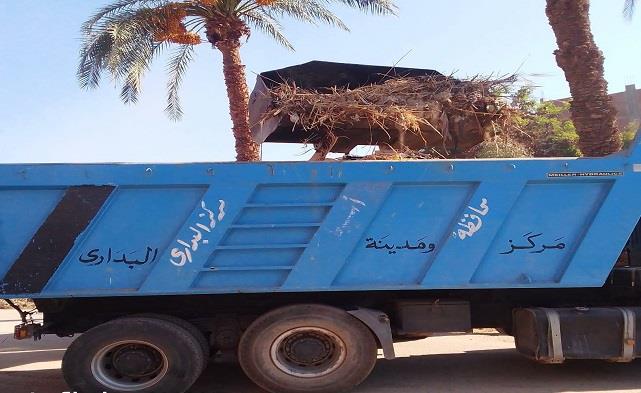 محافظ أسيوط: استمرار تطهير ورفع نواتج الترع والمصارف بالقرى التابعة لمركز البداري    