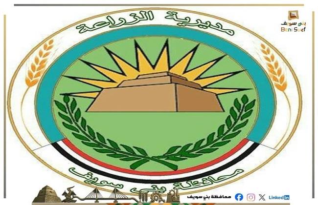 مديرية الزراعة ببني سويف: استمرار جهود أجهزة وإدارات المديرية في ملفات المحاصيل الاستراتيجية 