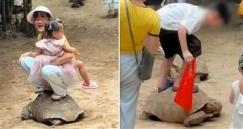 غضب في الصين.. أسرة تجلس فوق ظهر سلحفاة لالتقاط صورة