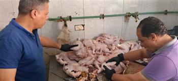 قبضة رقابية على أسواق الغربية.. ضبط 17 طنًا و896 كجم وتحرير 109 محاضر لمخالفات الأغذية ذات الأصل الحيواني