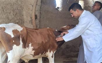 غدا.. انطلاق حملة تحصين الماشية ضد مرضي الحمى القلاعية وحمى الوادي المتصدع بقنا
